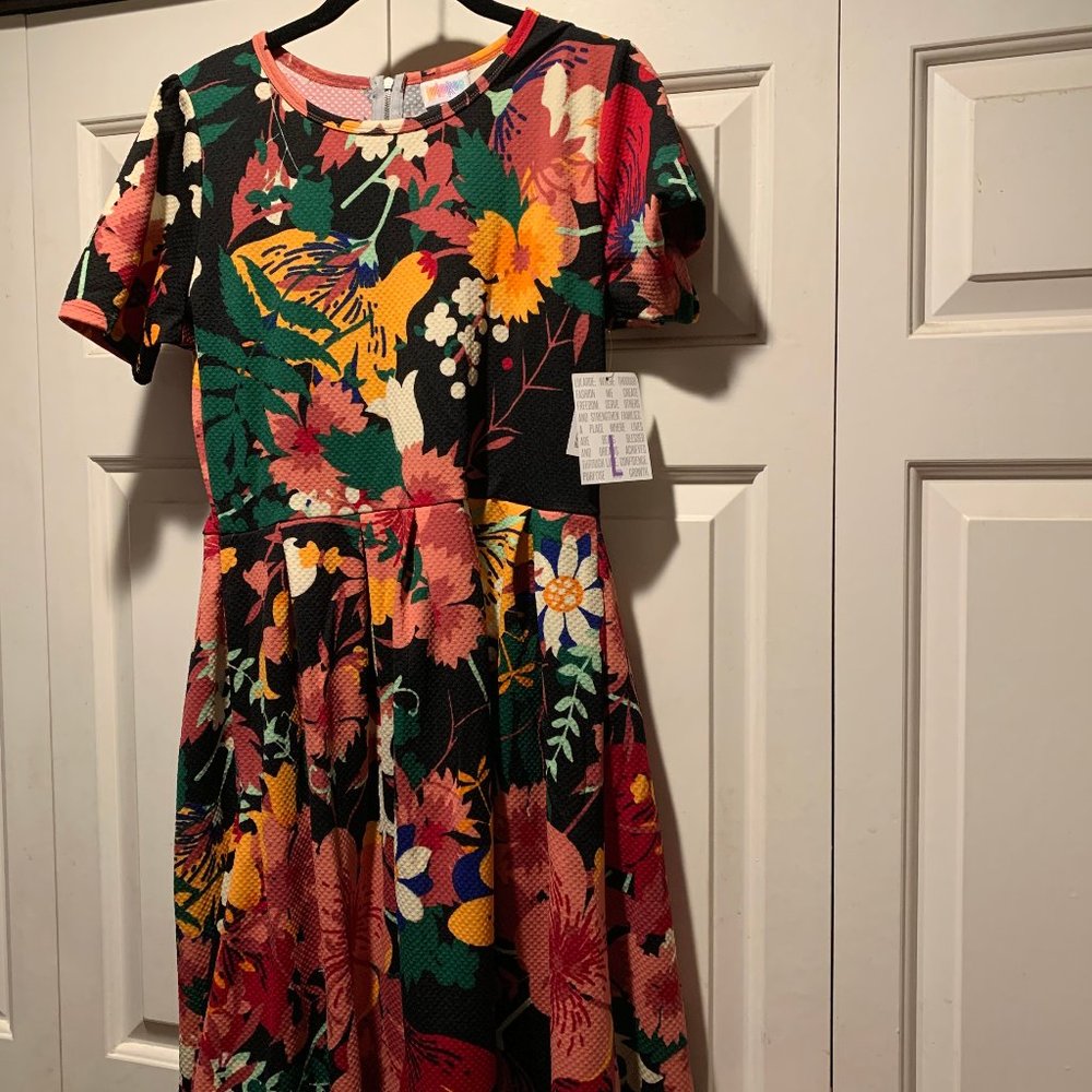 LuLuRoe Amelia Dress
